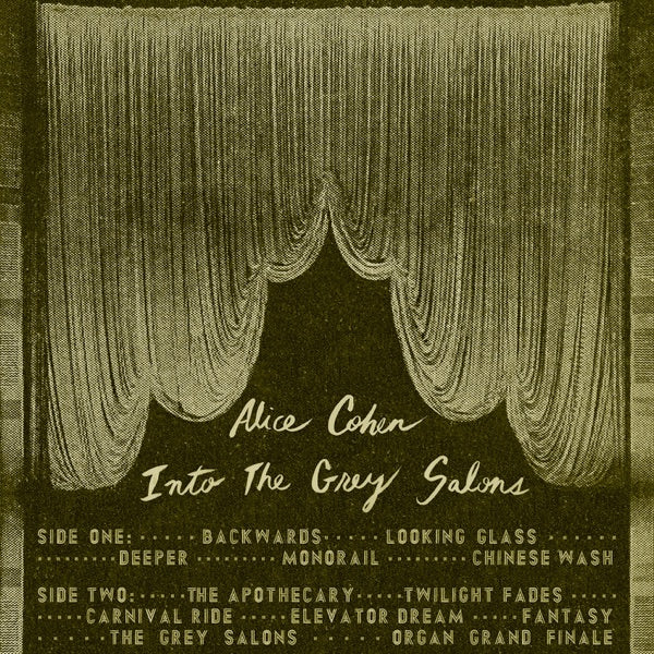 Into The Grey Salons cover