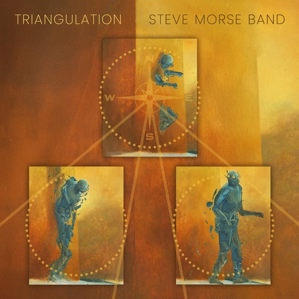 Triangulation cover