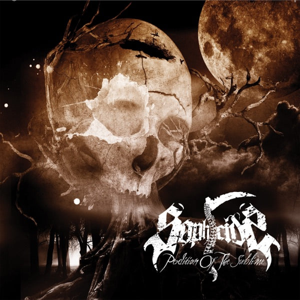 Perdition of the Sublime cover