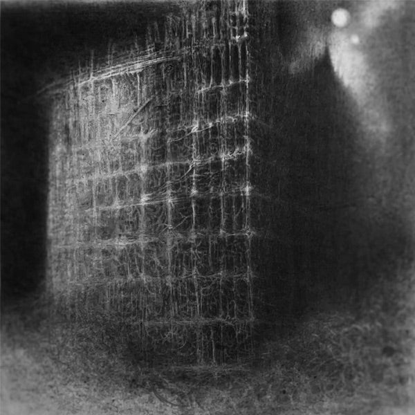 QAALM - Resilience & Despair cover