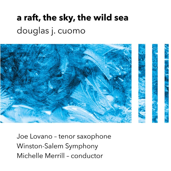A Raft, the Sky, the Wild Sea cover