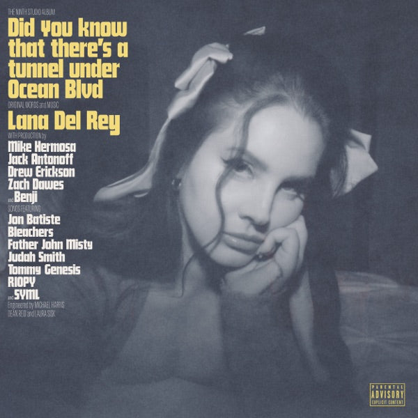 Did You Know That There's Tunnel Under Ocean Blvd - Alternate Cover Art cover