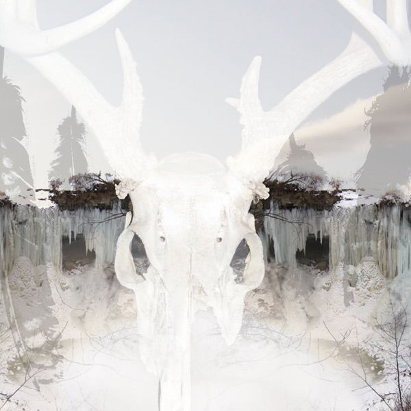 For Winter Fire cover