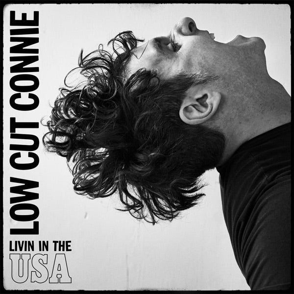 Livin in the USA cover