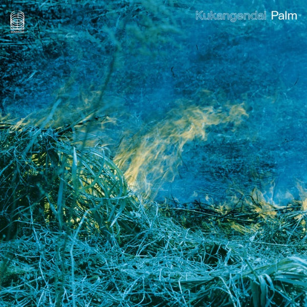 Palm cover