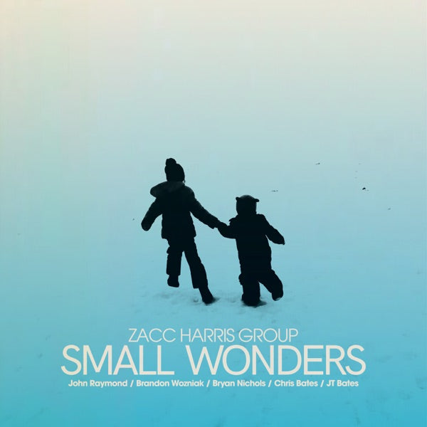 Small Wonders cover