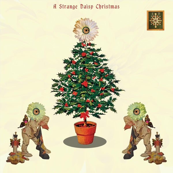 Strange Daisy Christmas / Various cover