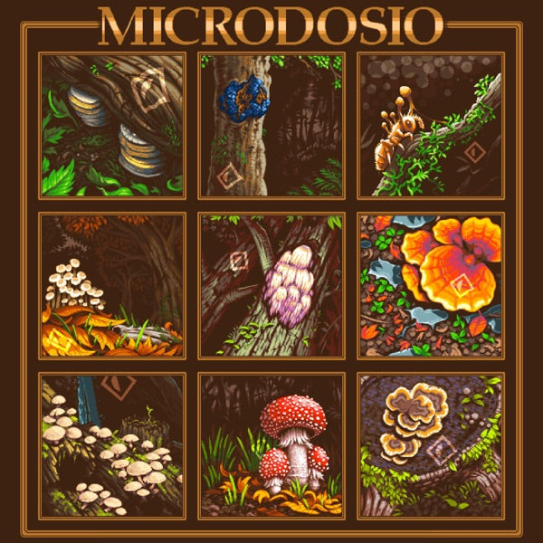 Reishi cover