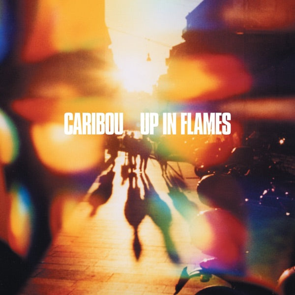 Up In Flames (Special Edition) cover