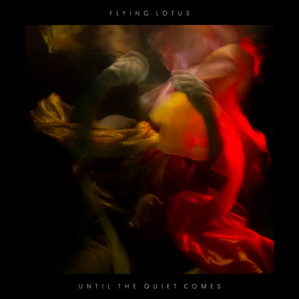 Until The Quiet Comes cover