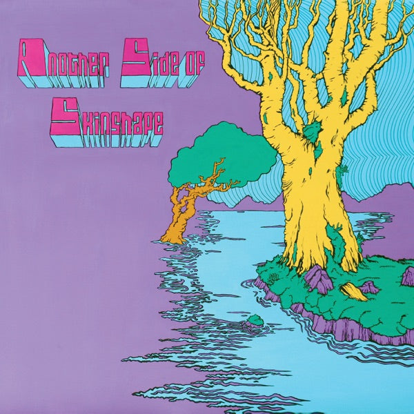 Another Side Of Skinshape cover