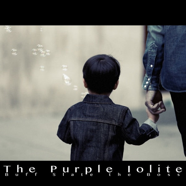 Snowdrop - Purple cover