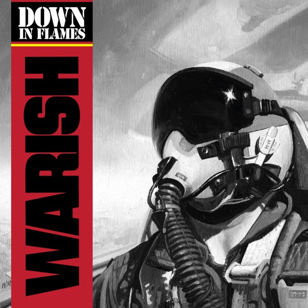 Down In Flames cover