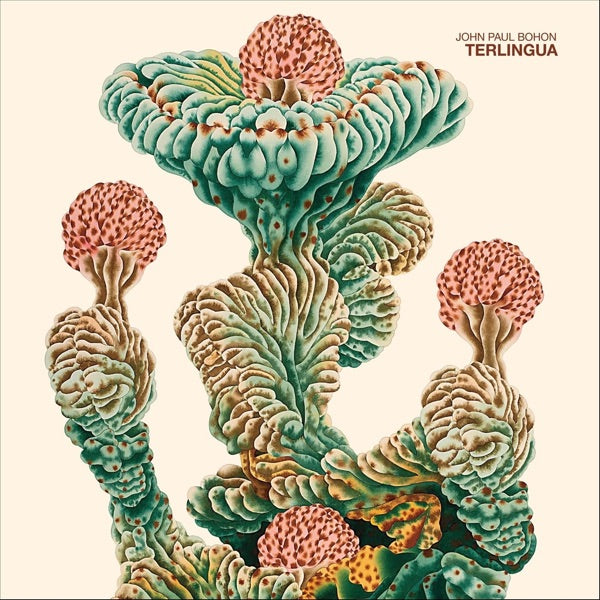 Terlingua cover