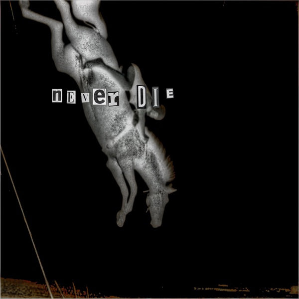 Never Die cover