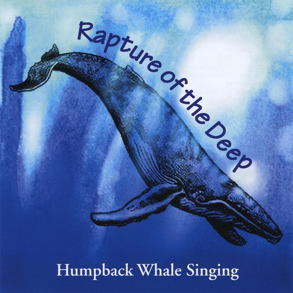 Rapture of the Deep-Humpback Whale Singing cover