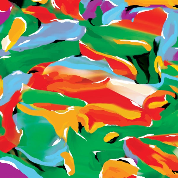 Birds Of Paradise cover