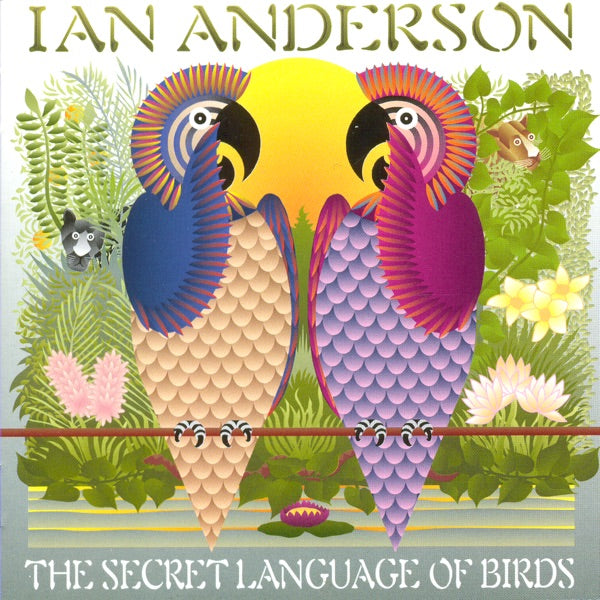 The Secret Language Of Birds cover
