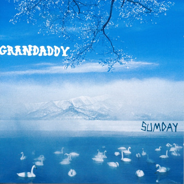 Sumday cover