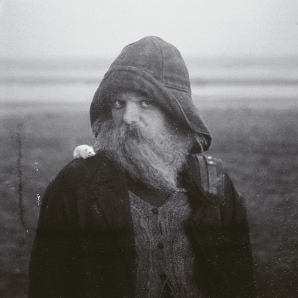 Role Model Hermit cover