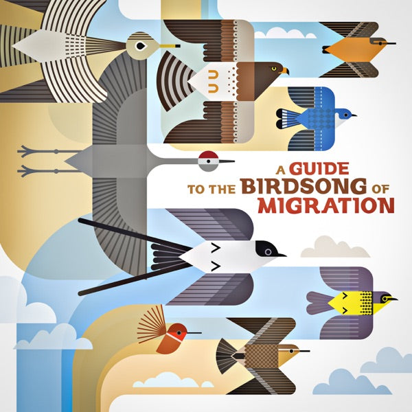 A Guide to the Birdsong of Migration cover