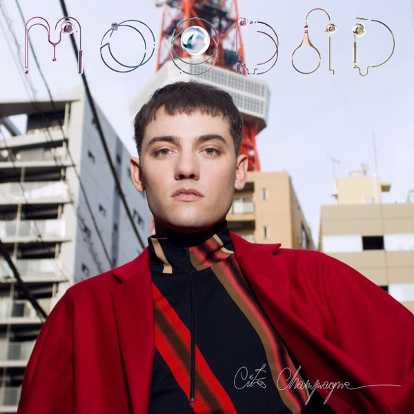 The Animal Years (Rose Champagne Vinyl) cover