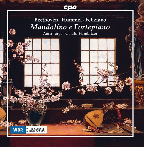 Mandolino E Fortepiano cover
