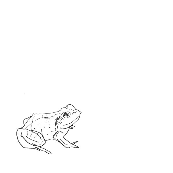 Bull Frogs Croon (and Other Songs) cover