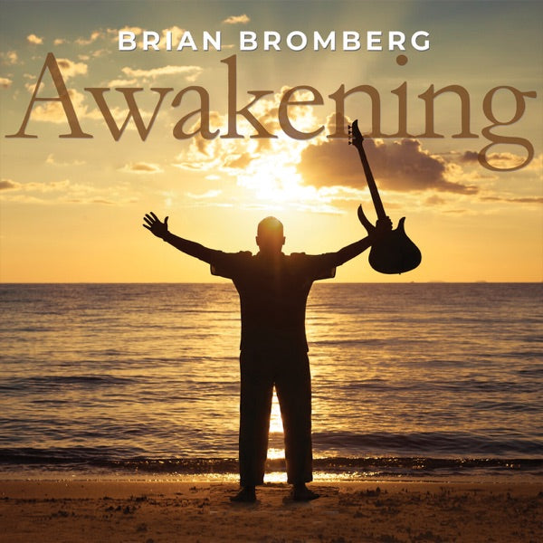 Awakening cover