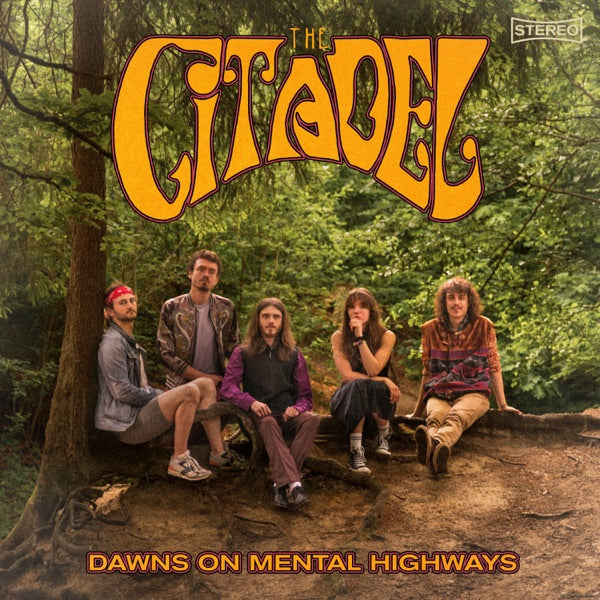 Dawns On Mental Highways cover