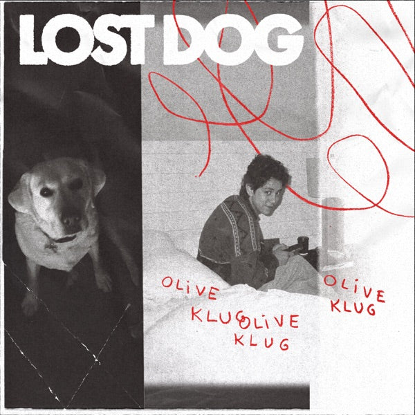 Lost Dog cover