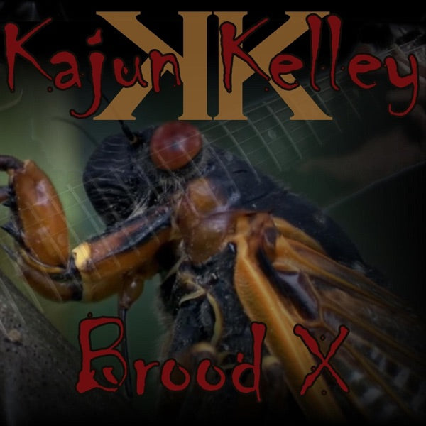 Brood X cover
