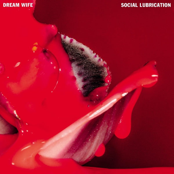 Social Lubrication cover