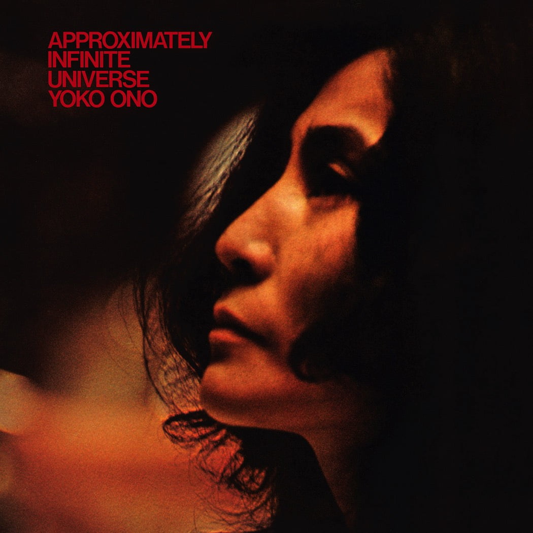 Approximately Infinite Universe (2LP)
