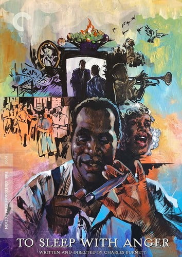To Sleep with Anger (The Criterion Collection)