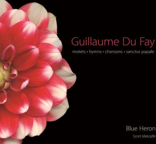 Guillaume Du Fay: Motets, Hymns, Chansons, Sanctus Papale