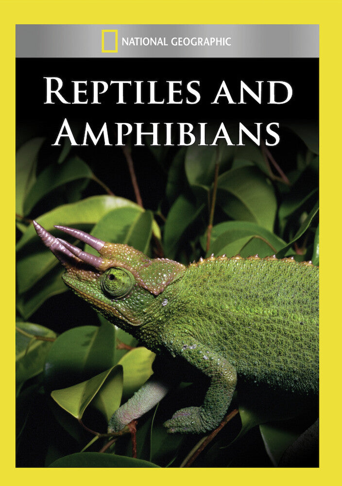 Reptiles and Amphibians