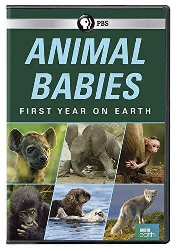 Animal Babies-First Year on Earth