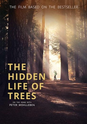 The Hidden Life of Trees