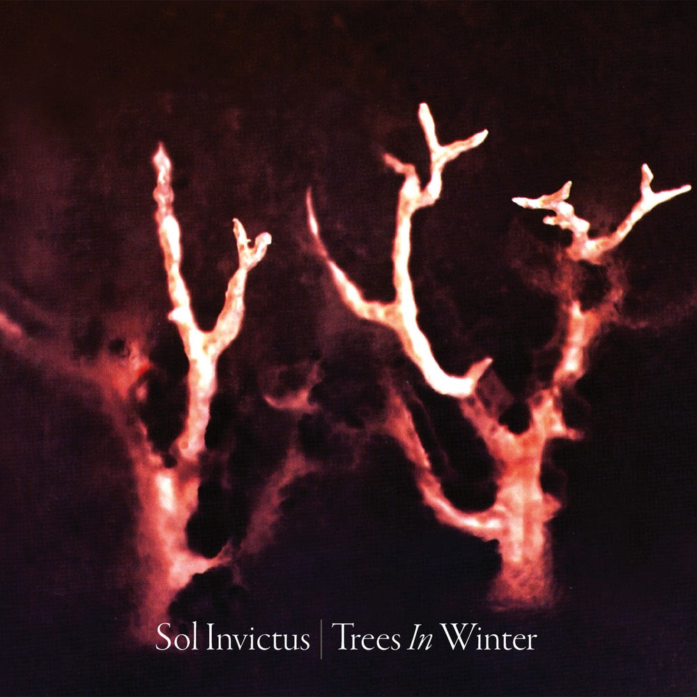 Trees In Winter