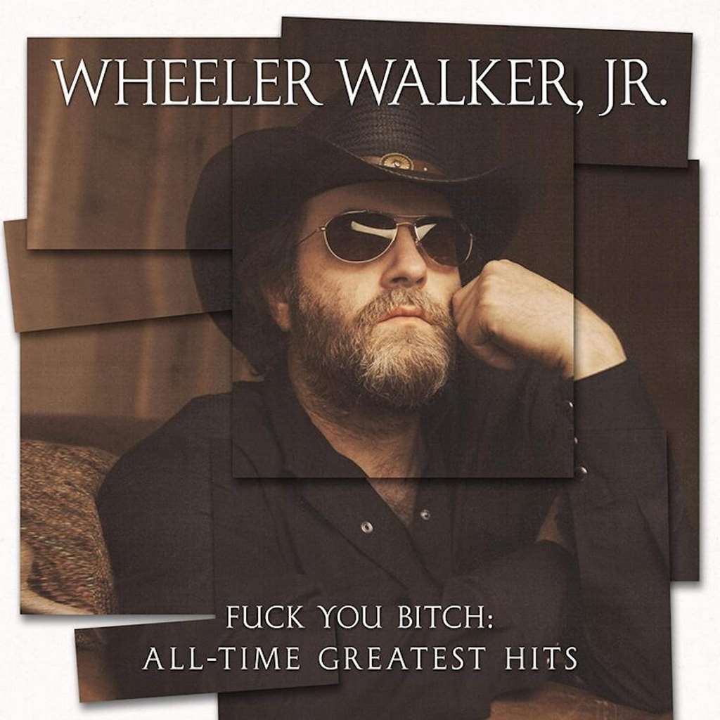 F**k You Bitch: All-Time Greatest Hits