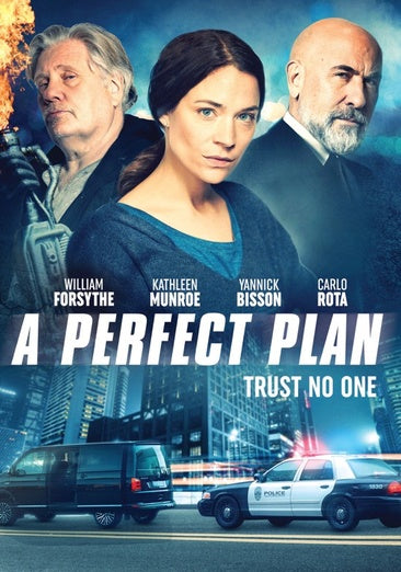 Perfect Plan, A