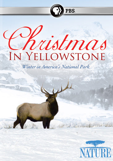 Nature: Christmas in Yellowstone