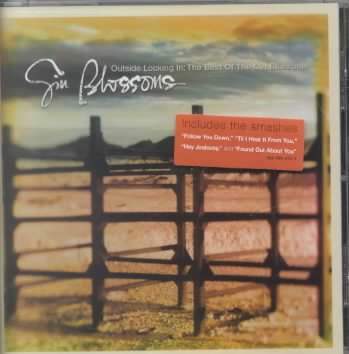 Outside Looking In: The Best Of Gin Blossoms