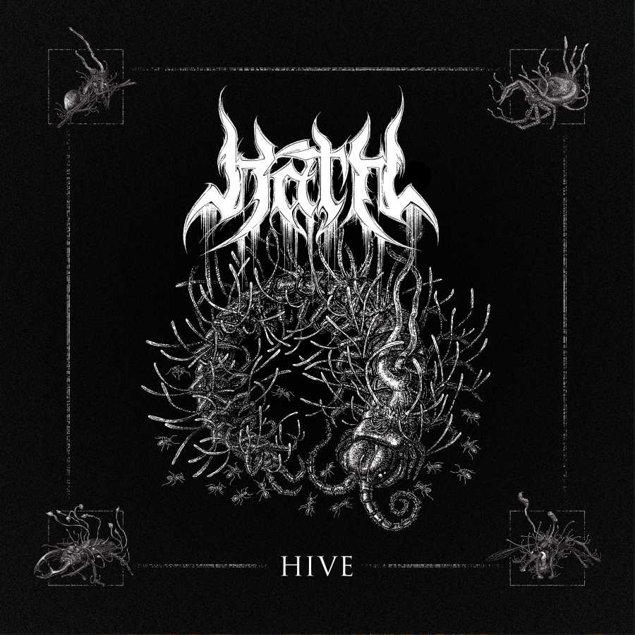 Hive