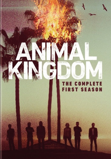 Animal Kingdom: The Complete First Season