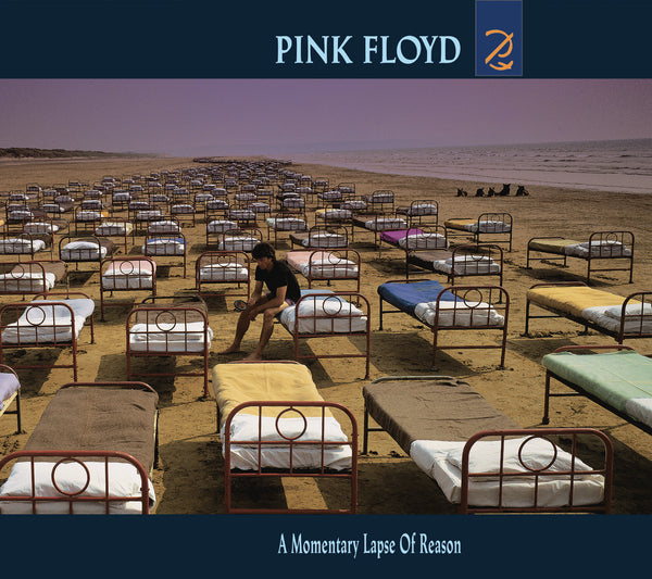 A Momentary Lapse of Reason