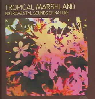 Tropical Marshland
