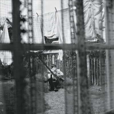 Chaos and Creation In The Backyard
