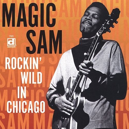 Rockin' Wild in Chicago